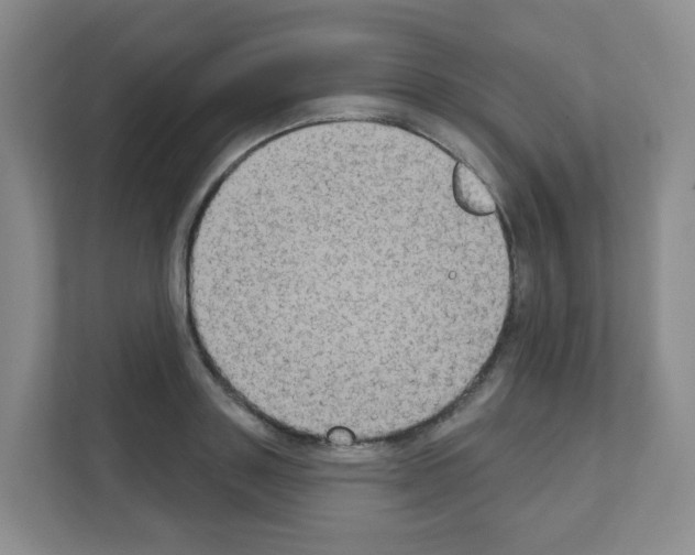 X0000111130843200908111037