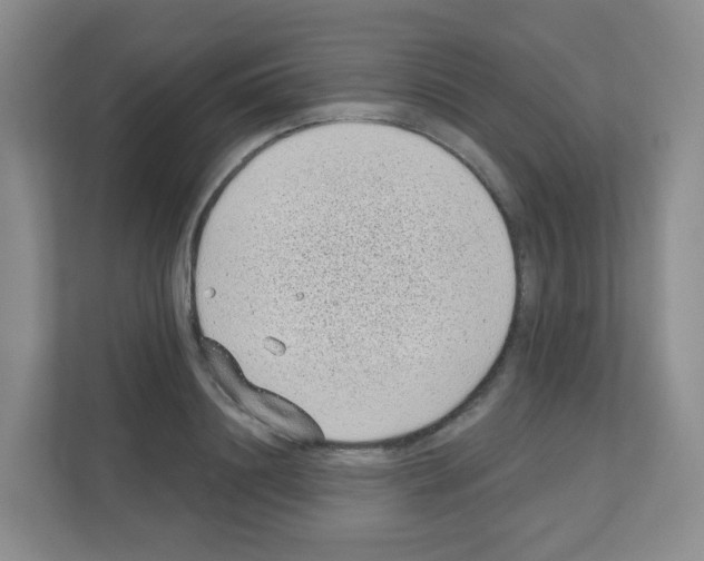 X0000111130844200908111037