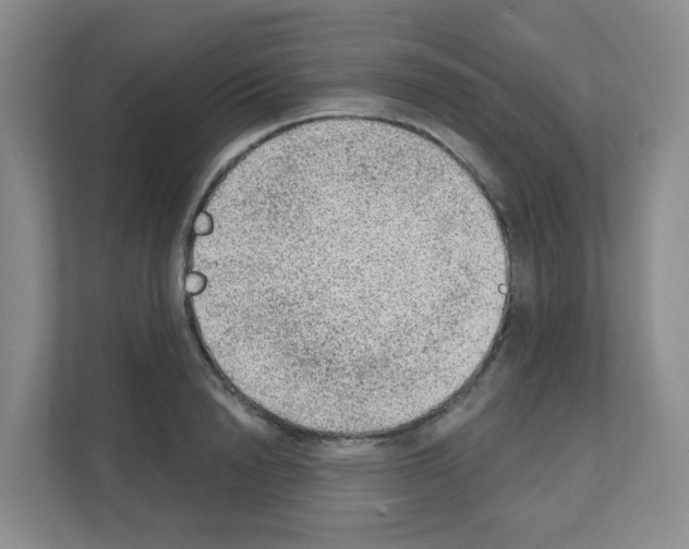 X0000111130846200908111037