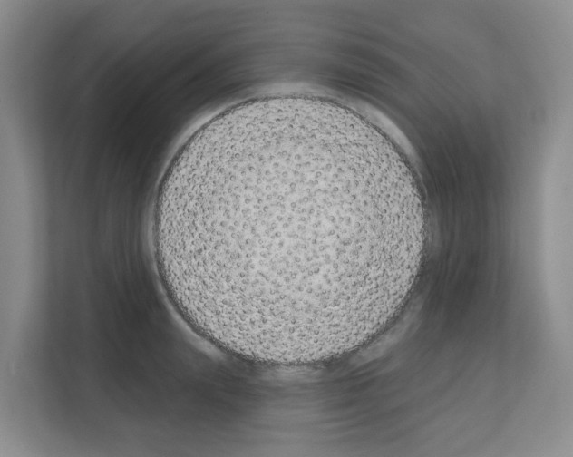 X0000111130847200908111037