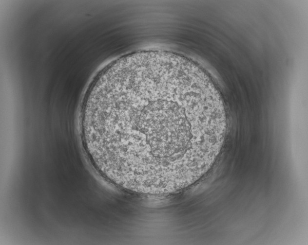 X0000111130848200908111037