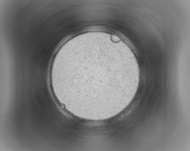 X0000111130853200908111037