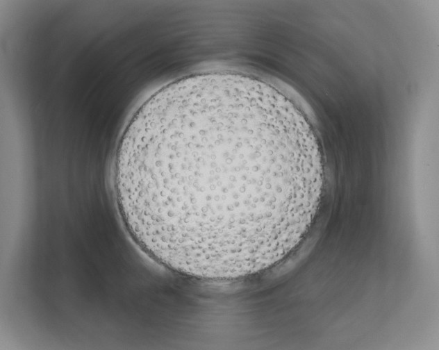 X0000111130855200908111037