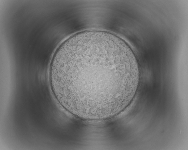 X0000111130856200908111037