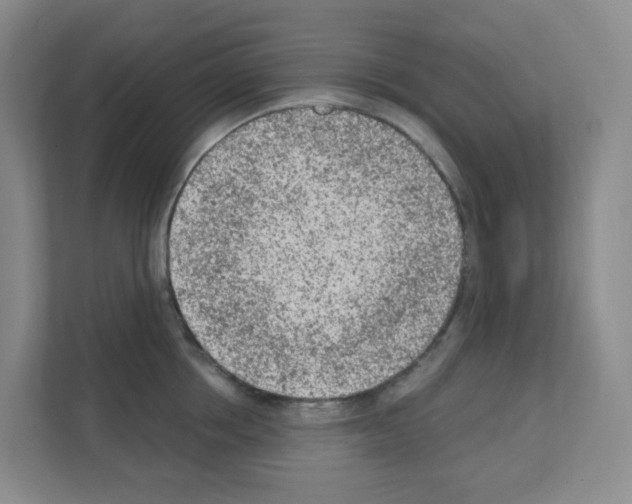 X0000111130858200908111037