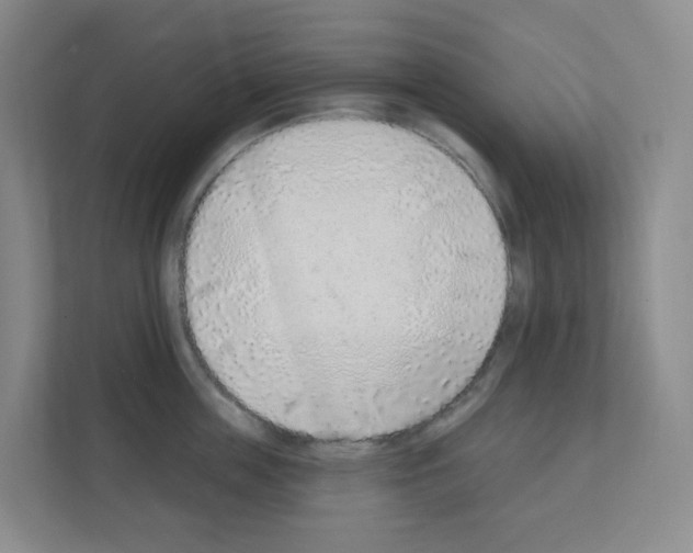 X0000111130859200908111037
