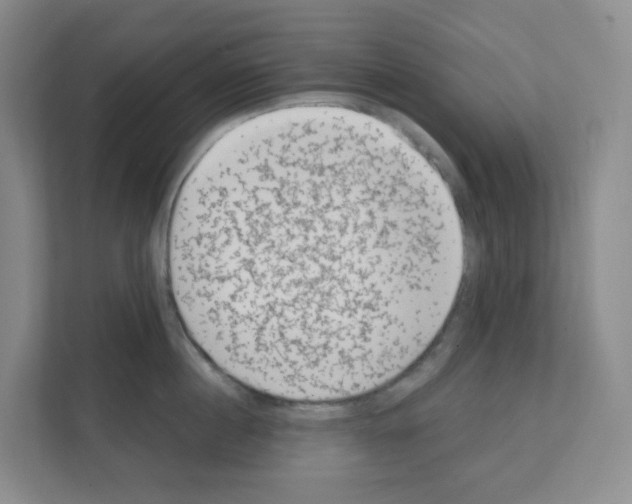 X0000111130860200908111037