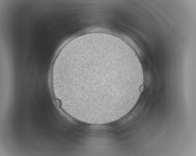 X0000111130863200908111037
