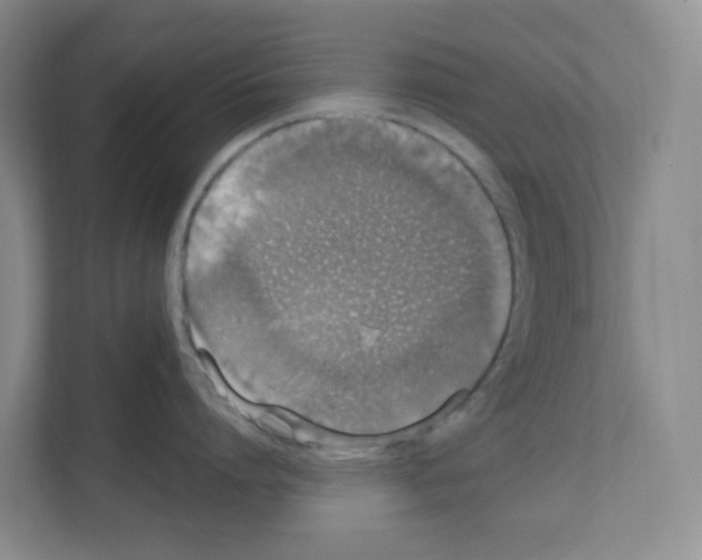 X0000111130864200908111037