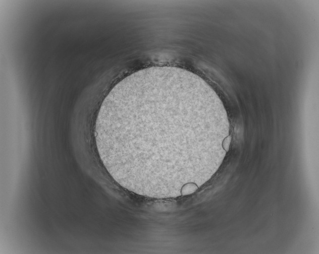 X0000111130865200908111037