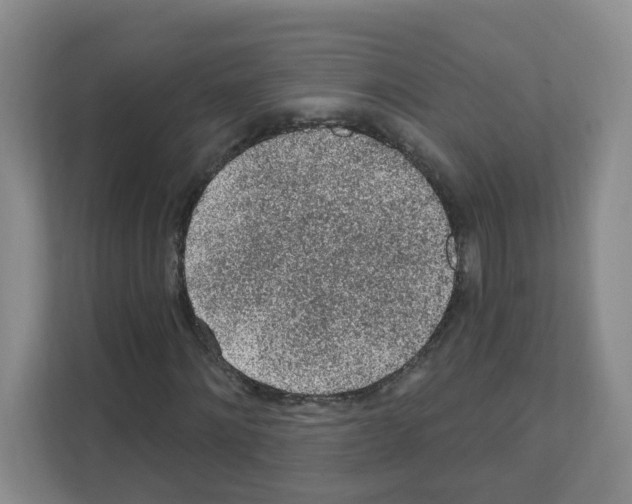 X0000111130868200908111037
