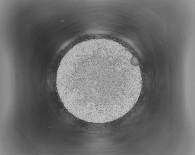X0000111130871200908111037
