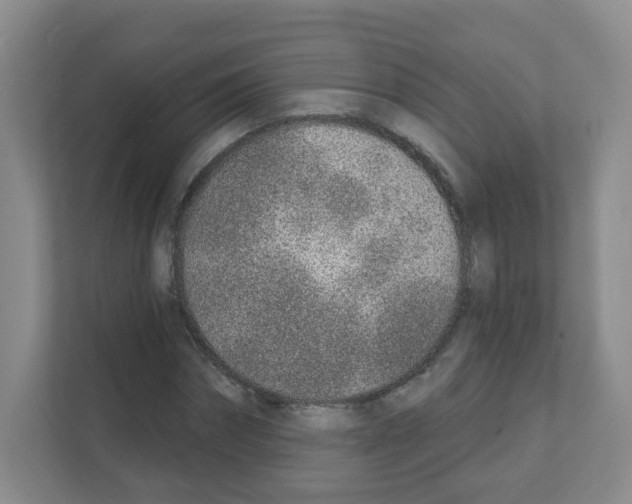 X0000111130874200908111037