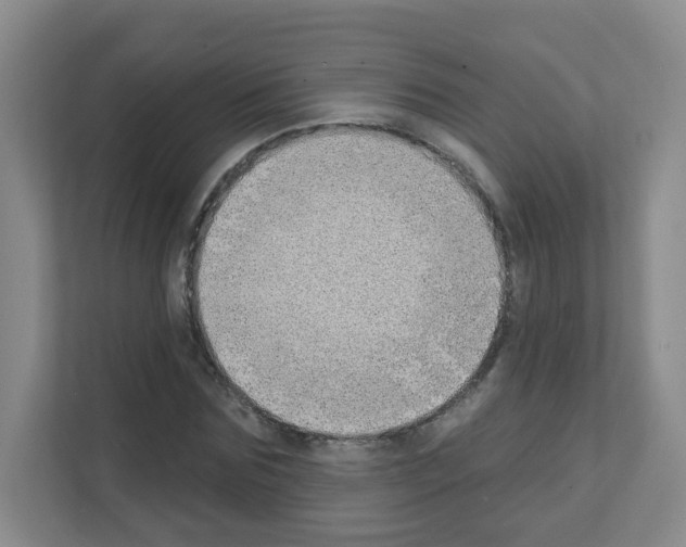 X0000111130875200908111037