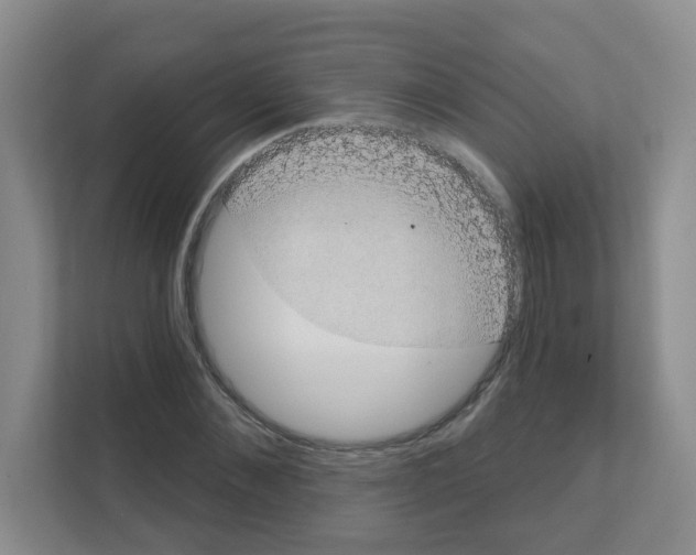X0000111130876200908111037