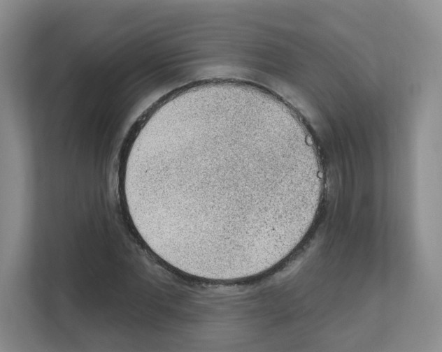X0000111130877200908111037