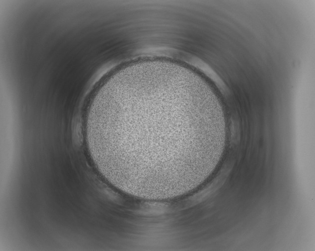 X0000111130878200908111037