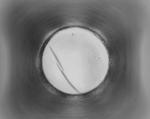 X0000111130879200908111037