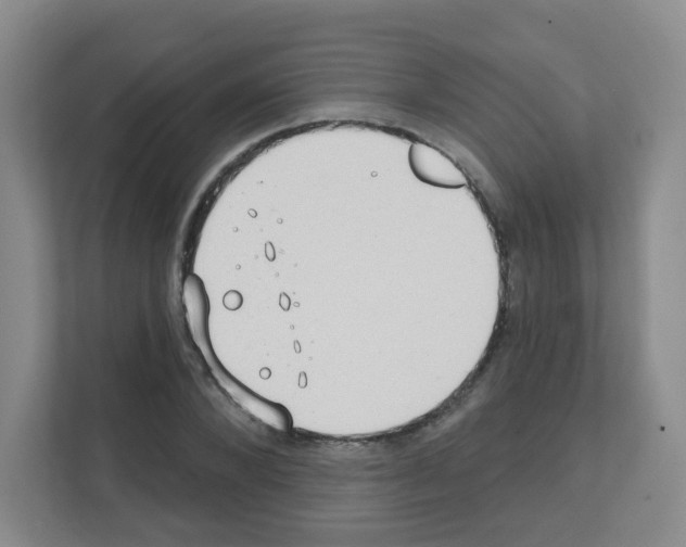 X0000111130880200908111037