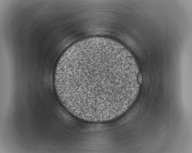 X0000111130881200908111037