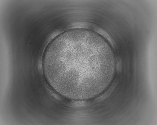 X0000111130882200908111037