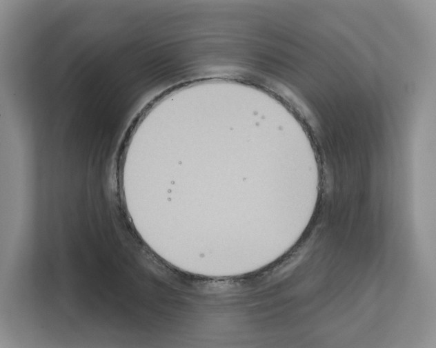 X0000111130883200908111037