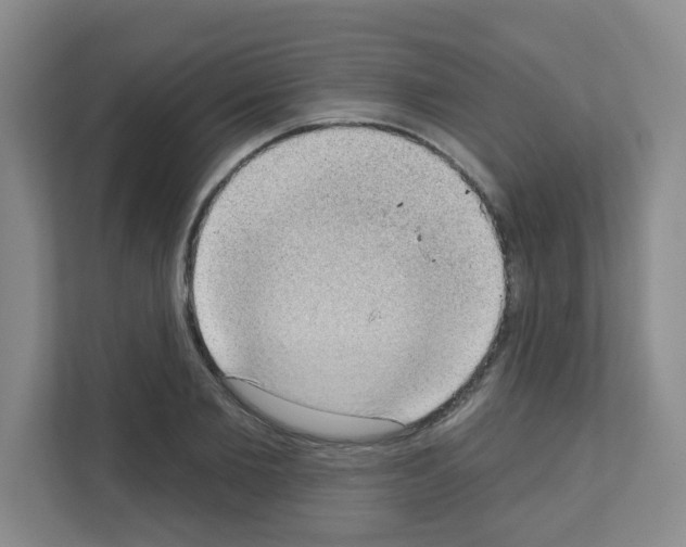 X0000111130885200908111037