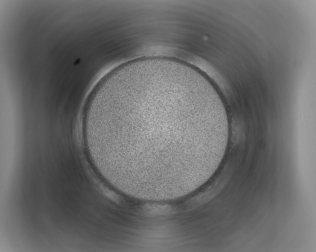 X0000111130886200908111037