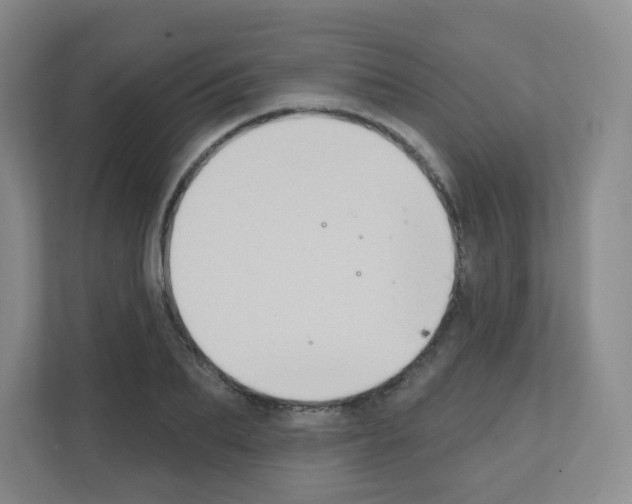 X0000111130887200908111037