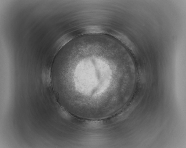 X0000111130889200908111037