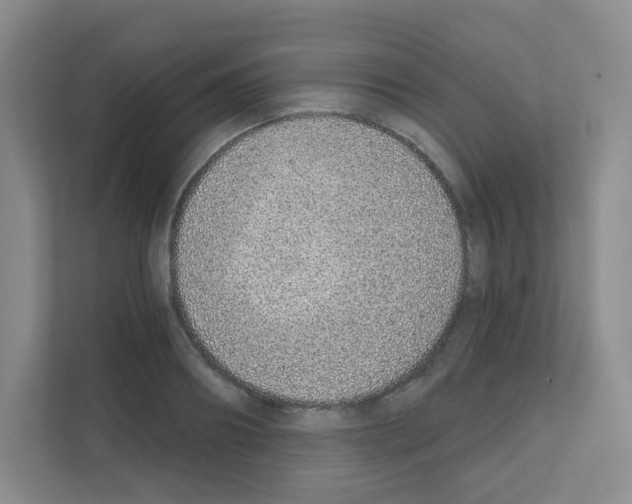 X0000111130890200908111037