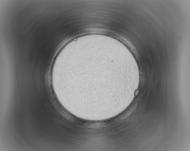 X0000111130891200908111037