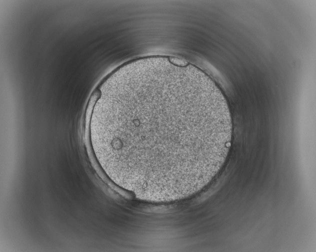 X0000111130892200908111037