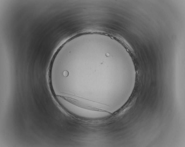 X0000111130893200908111037