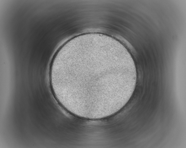 X0000111130894200908111036
