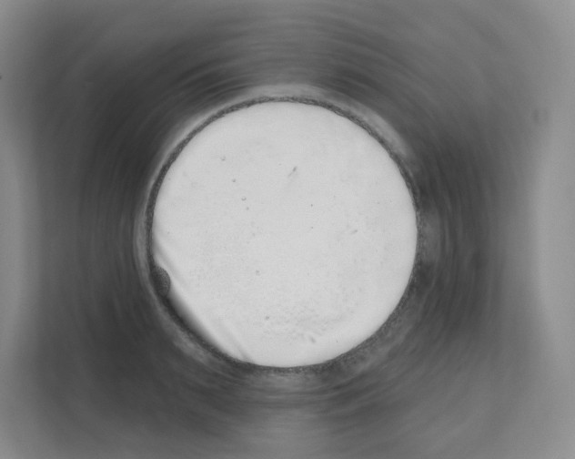 X0000111130895200908111036