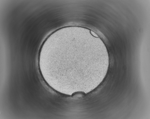 X0000111130896200908111036