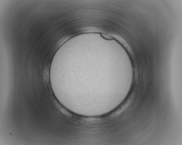 X0000111130897200908111036