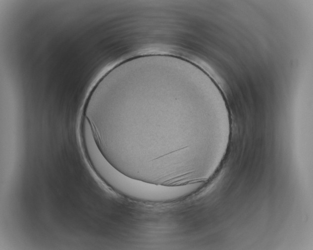 X0000111130901200908111036