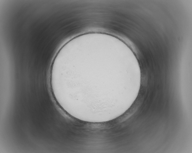 X0000111130903200908111036