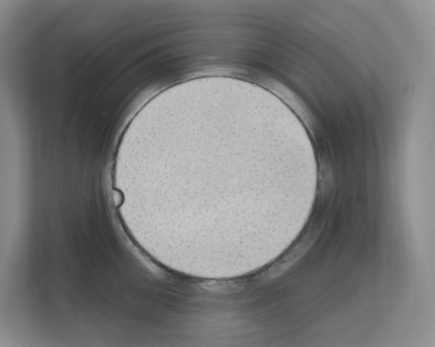 X0000111130906200908111036
