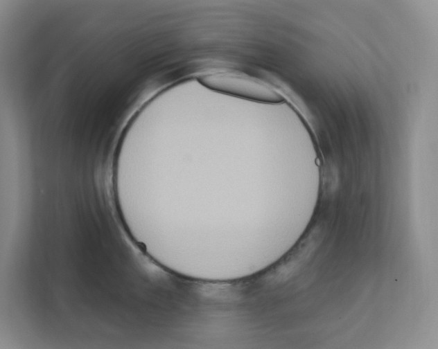 X0000111130909200908111036