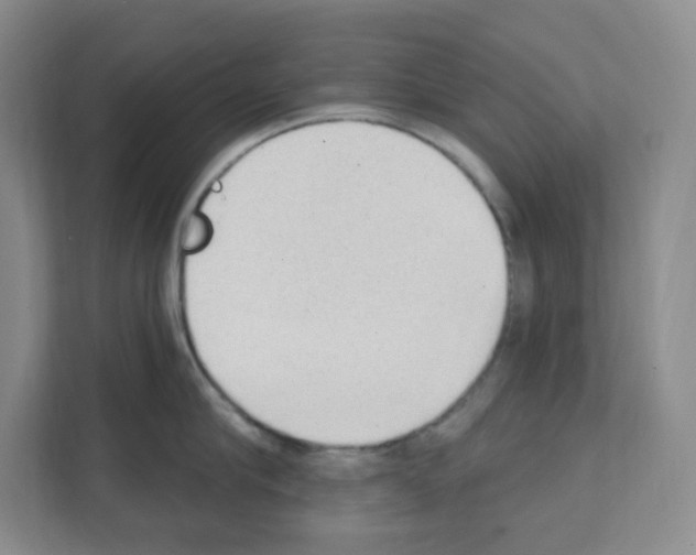X0000111130910200908111036