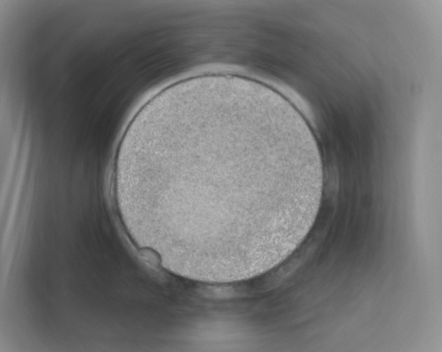 X0000111130911200908111036