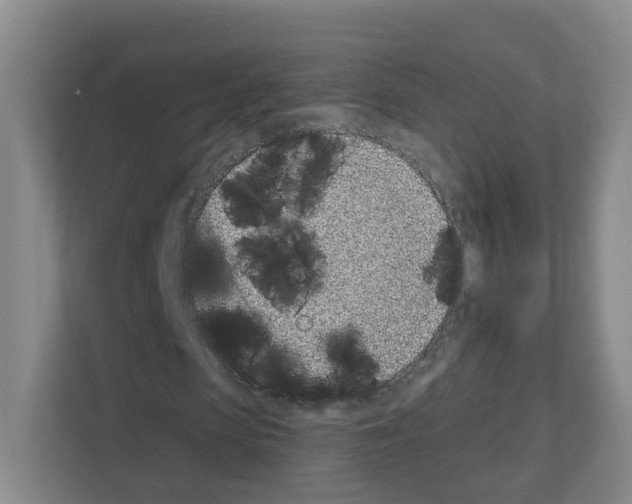 X0000111130913200908111036