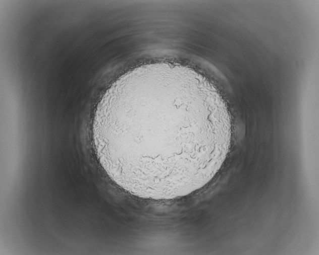 X0000111130917200908111036