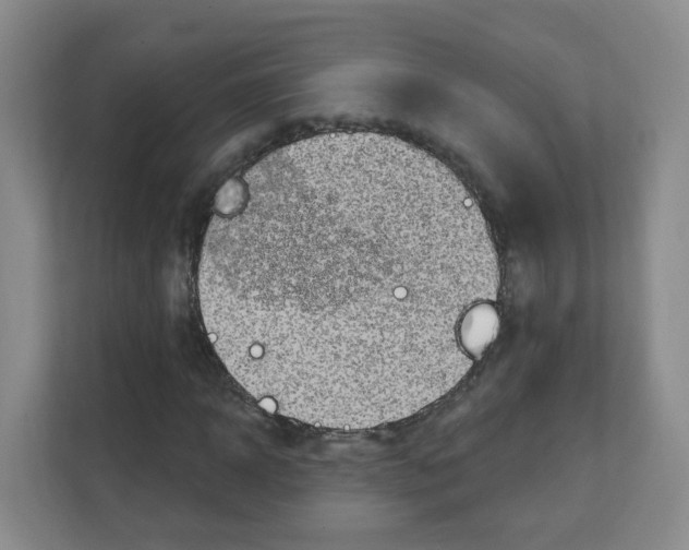 X0000111130918200908111036
