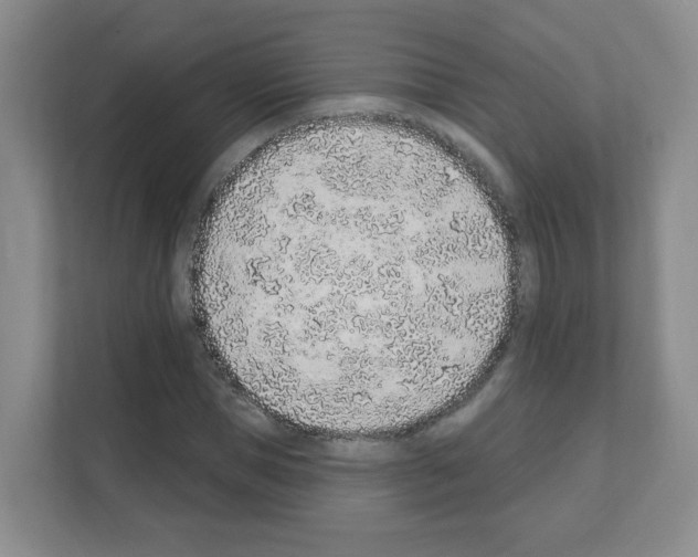 X0000111130921200908111036