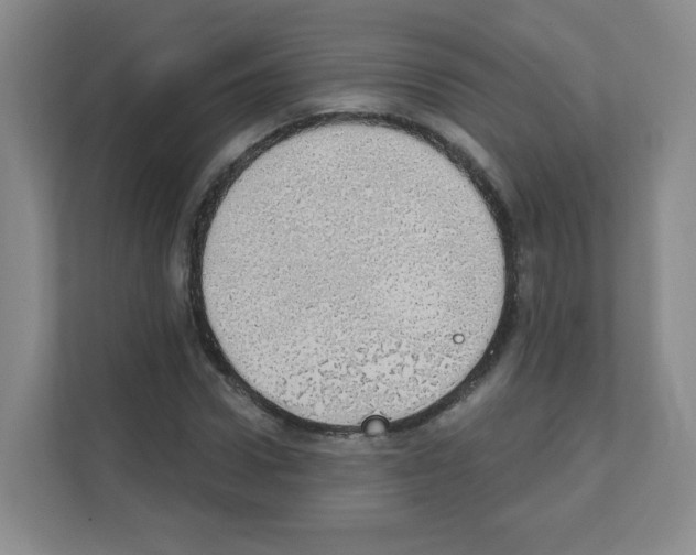 X0000111130922200908111036