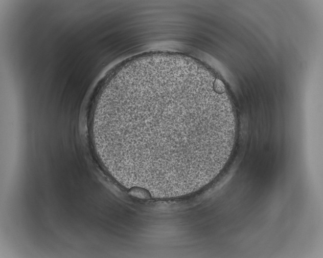X0000111130923200908111036
